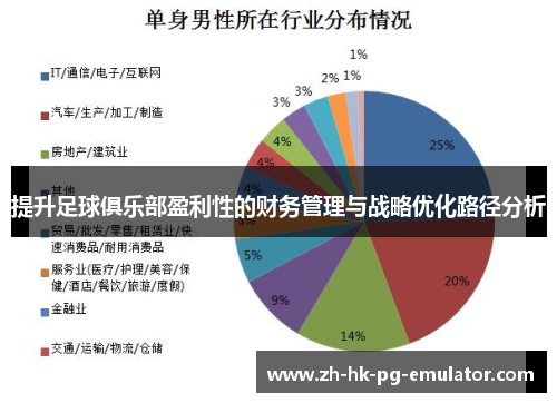 提升足球俱乐部盈利性的财务管理与战略优化路径分析