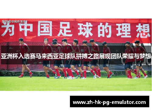 亚洲杯入选赛马来西亚足球队拼搏之路展现团队荣耀与梦想