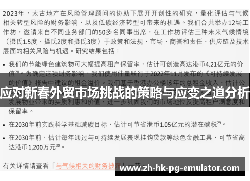 应对新春外贸市场挑战的策略与应变之道分析
