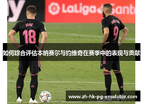 如何综合评估本纳赛尔与约维奇在赛季中的表现与贡献