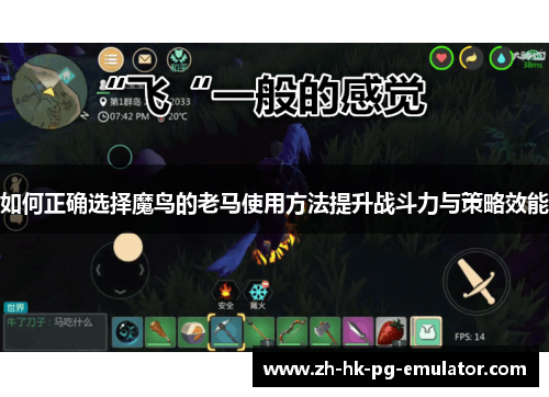 如何正确选择魔鸟的老马使用方法提升战斗力与策略效能
